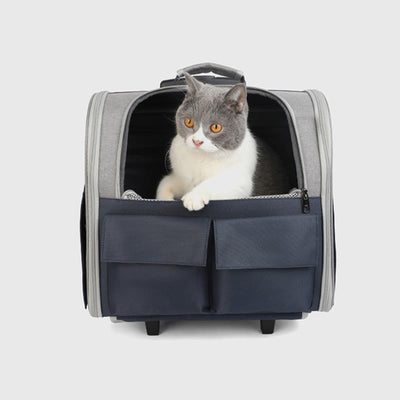 Portable Pet Carrier For Outdoor Large Breathable Oxford Cat Backpack