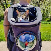 Spacious & Comfortable Cat Backpack